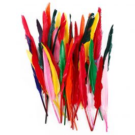 Veren, L: 29-31 cm, diverse kleuren, 100 stuk/ 1 doos [HOB-51677]