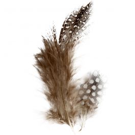 Plumes de pintade, brun, 3 gr/ 1 Pq. [HOB-51812]