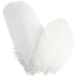 Plumes d'oies - rond, L: 5-8cm, blanc, 3 gr/ 1 Pq. [HOB-51816]