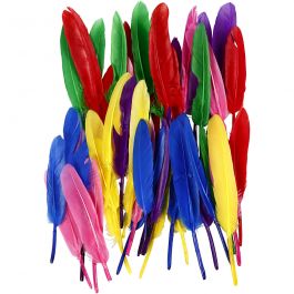 Veren, L: 13 cm, diverse kleuren, 48 stuk/ 1 doos [HOB-51817]