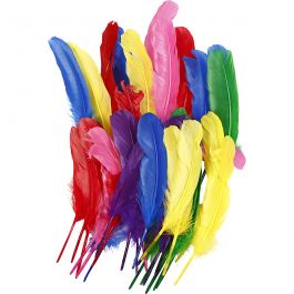 Veren, L: 20 cm, diverse kleuren, 36 stuk/ 1 doos [HOB-51818]
