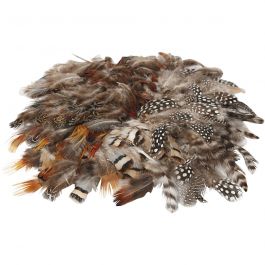 Plumes - Assortiment, 6 Pq./ 1 Pq. [HOB-51820]