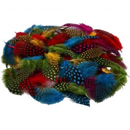 Veren van parelhoen, diverse kleuren, 50 gr/ 1 doos [HOB-51823]