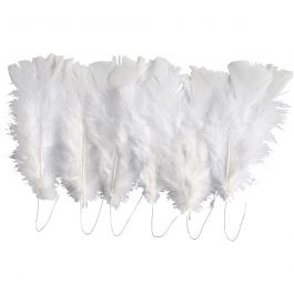Plumes, L : 11-17 cm, blanc, 18 boule/ 1 Pq. [HOB-51847]