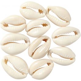 Schelpen, L: 20 mm, naturel, 12 stuk/ 1 doos [HOB-61016]