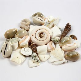 Strand schelpen kralen, afm 9-40 mm, gatgrootte 1-1,5 mm, 120 gr/ 1 doos [HOB-631881]