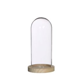 Glazen koepel met houten basisvoet Ø 10 cm en 20 cm hoog (1 st) [IFS-29429]