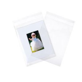 Plastic Zakken 11,5x22cmTransparant en Hersluitbaar (100 stuks) [B4X9S]