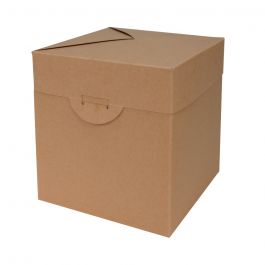 Pop Up dozen 15x15x16cm Bruin (100 st.) [FP-POP002]