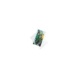 Plastiek Zakken 29x44cm Transparant (100 stuks) [B1117NF]