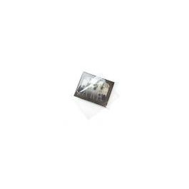 Sachet plastique plat grand format 31,6x41,1cm Transparent et Scellable sans Rabat (100 pièces) [B12NF]