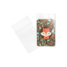 Plastiek Zakken 10x13,3cm Transparant en Hersluitbaar (100 stuks) [B3H5PC]