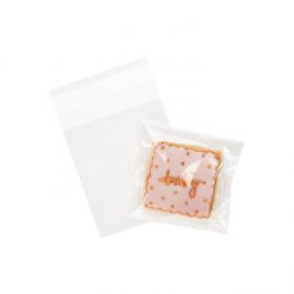 Plastiek Zakken 9,5x10,5cm Transparant en Hersluitbaar (100 stuks) [B3X4]