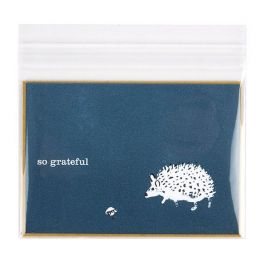Plastic Zakken 13,5x9,2cm Transparant en Hersluitbaar (100 stuks) [B53XL]