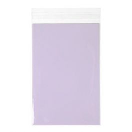 Sachet plastique transparence cristalline 15x22 cm avec Rabat Adhésif (100 pièces) [B59]