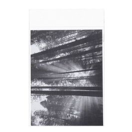 Plastiek Zakken 13,8x18,4cm Transparant en Hersluitbaar (100 stuks) [B75PC]