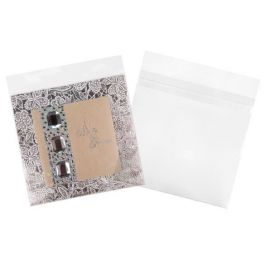 Plastic Zakken 21x20,5cm Transparant en Hersluitbaar (100 stuks) [B88S]