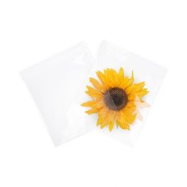 Plastiek Zakken 21,4x21cm Transparant (100 stuks) [B8X8NF]