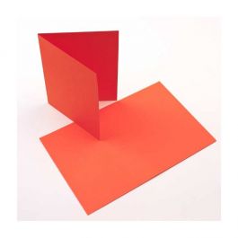 Kaarten Oranje 17,8x12,4cm (50 stuks) [PC009]
