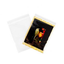 Sachet plastique à rabat avantageux transparence cristalline 22.7x28.6cm (250 pièces) [VL811]