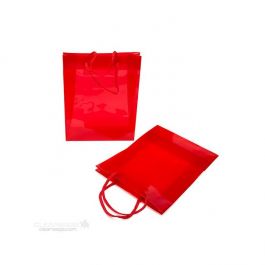 Geschenktassen 22x7,6x27cm met Draagkoorden (10 stuks) [G8RD1]