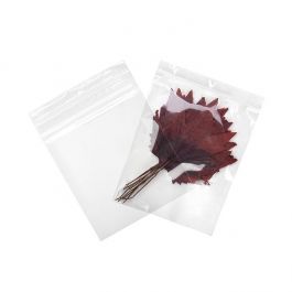 Gripzakken met Ophanggat 20,5x25,5cm Kristalhelder PP 75 Micron (100 stuks) [Z3R810]