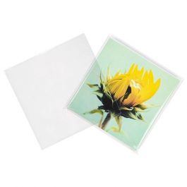 Sachet Écologique haute qualité scellable sans rabat 17x16.7cm (100 pièces) [GC6X6MNF]
