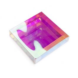 Plastiek Doosjes 13x2,5x12,9 cm Iridescent (25 stuks) [FB47I]