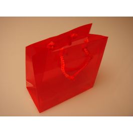 Geschenktassen 16x7,6x16cm met Draagkoorden (10 stuks) [G66RD1]