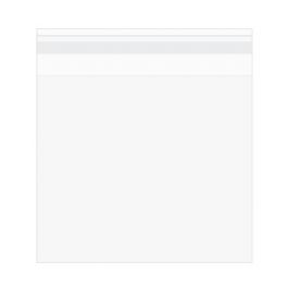 Plastiek Zakken 15,3x22,9cm Premium, Gelamineerd met beschermende Sluiting (100 stuks) [PL6X9S]