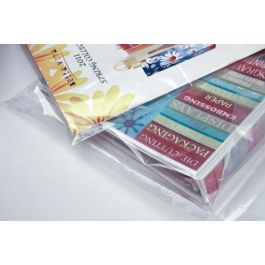 Plastiek Zakken 7,6x30,5cm LDPE 40 Micron (100 stuks) [PE1H312]
