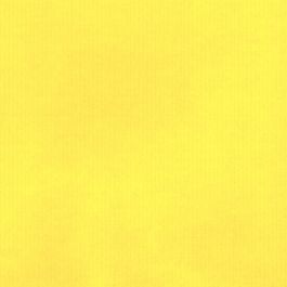 Rouleau Papier Cadeau Kraft Blanc - Jaune (1 pièce) [FP-IO1415]