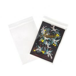 Plastiek Zakken 21.3x30.3cm Transparant en Hersluitbaar (100 stuks) [KO-30159]