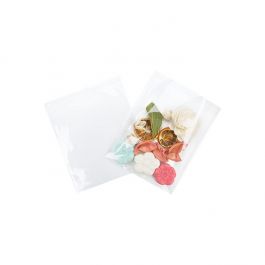 Plastiek Zakken 16x15.5cm Transparant en Hersluitbaar (100 stuks) [KO-30169]