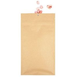 Sachet zip Kraft avec trou rond de suspension 12,7x20,8cm avec encoches de déchirure (100 pièces) [HZBB6K]