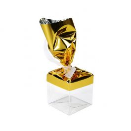 Folie Topper Goud Gemetalliseerd 12,7x22,9 cm (25 Stuks) [MT1G]