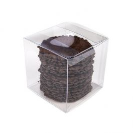 Kristalheldere Dozen Rpet 10.2 x10.2 x10.2 cm (25 stuks) [FB56R]