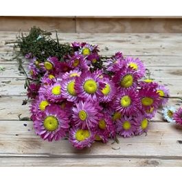 Gedroogde Bloemen Natuurlijk Roze Acroclinium (1 bundel) [RU-00021.000.9]