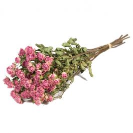 Fleurs Séchées Roses spray Naturelles Rose clair (1 Paquet) [RU-01594.000.9]